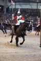Cavalry - 00238